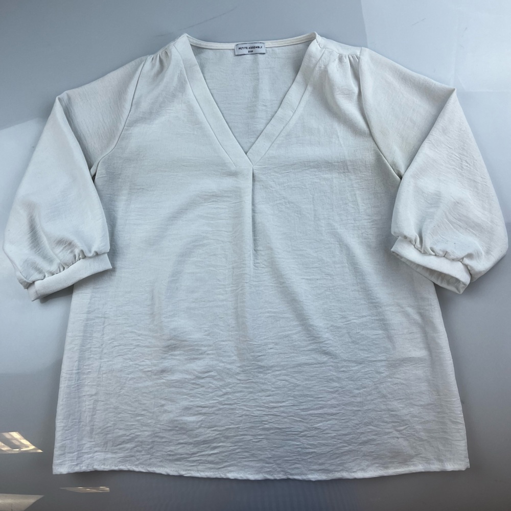Petite Assembly V Neck Blouse S90-28
